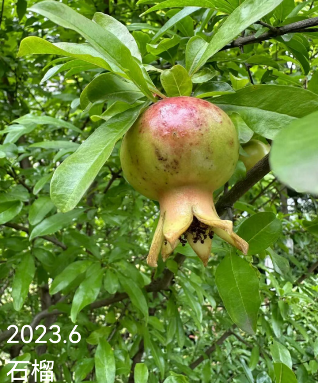 image1.png